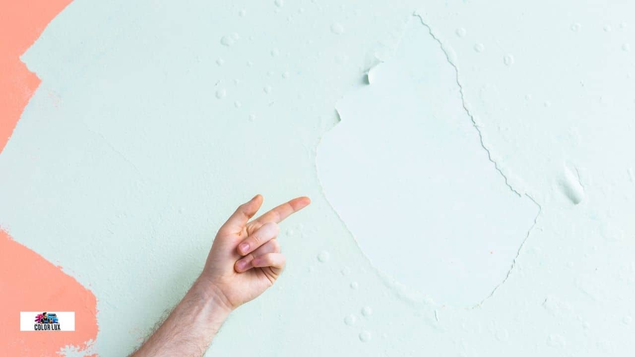 How to Prepare Your Walls Before Painting – Pro Tips by ColorLux